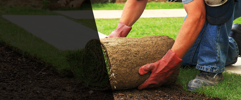Jessup Landscapers